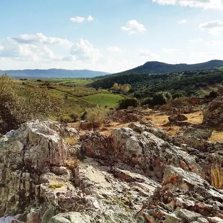 En El Cerro Del Búho * Piedrabuena
